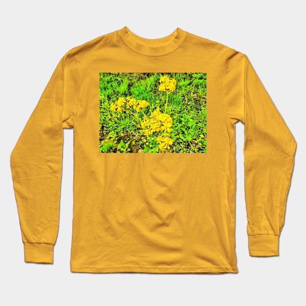 Wildflowers Long Sleeve T-Shirt by PandLCreations